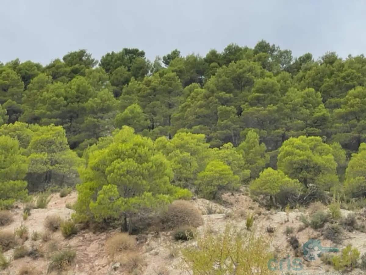 4 bedroom Finca/Country House for sale in Zarzadilla de Totana - € 225,000 (Ref: 9818527)