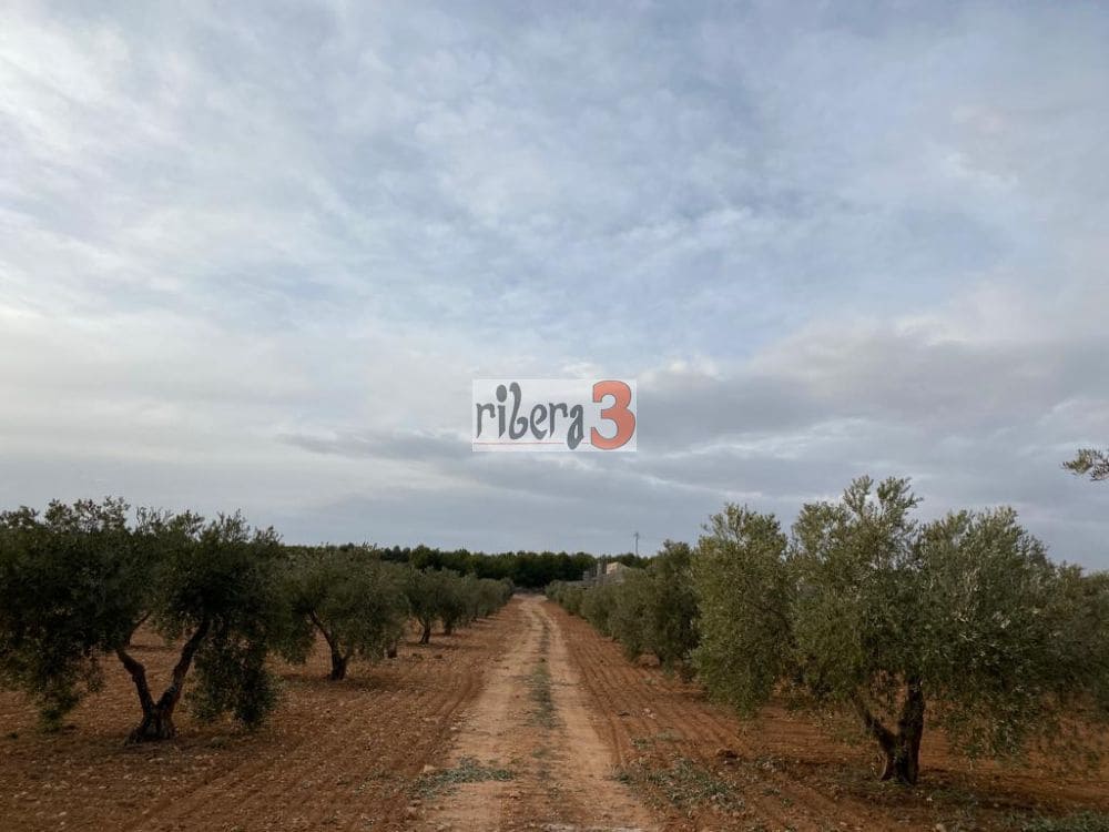 4 bedroom Finca/Country House for sale in Pozohondo - € 170,000 (Ref: 9879232)