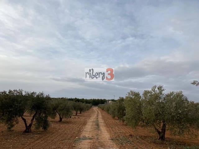 4 bedroom Finca/Country House for sale in Pozohondo - € 170,000 (Ref: 9879232)