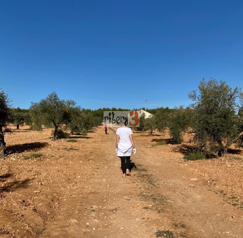 4 bedroom Finca/Country House for sale in Pozohondo - € 170,000 (Ref: 9879232)