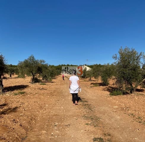4 bedroom Finca/Country House for sale in Pozohondo - € 170,000 (Ref: 9879232)