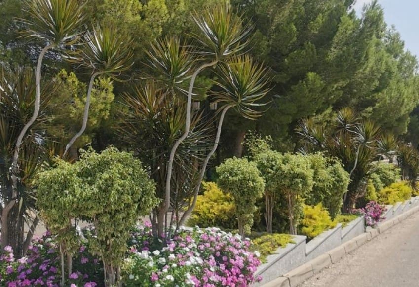 2 bedroom Apartment for sale in Orihuela Costa with pool - € 212,350 (Ref: 9610284)