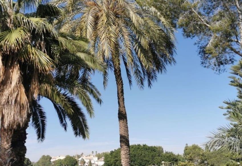 2 bedroom Apartment for sale in Orihuela Costa with pool - € 212,350 (Ref: 9610284)