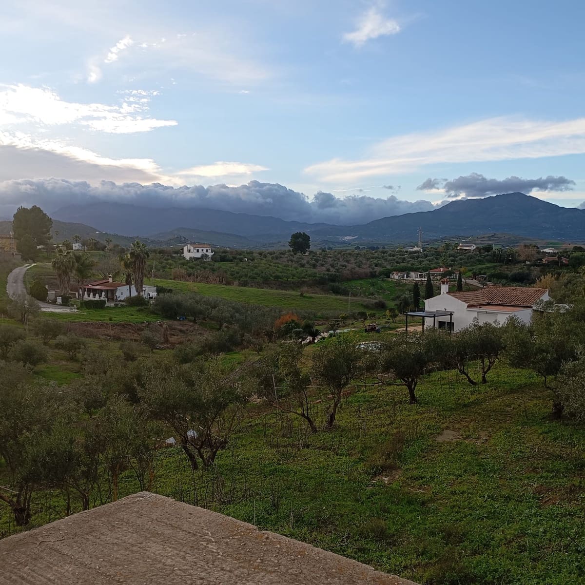 3 chambre Finca/Maison de Campagne à vendre à Coin - 179 000 € (Ref: 9688534)