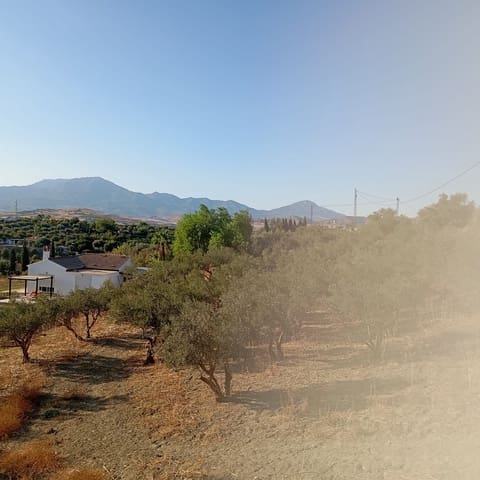 Finca/Casa Rural de 3 habitaciones en Coín en venta - 179.000 € (Ref: 9688534)