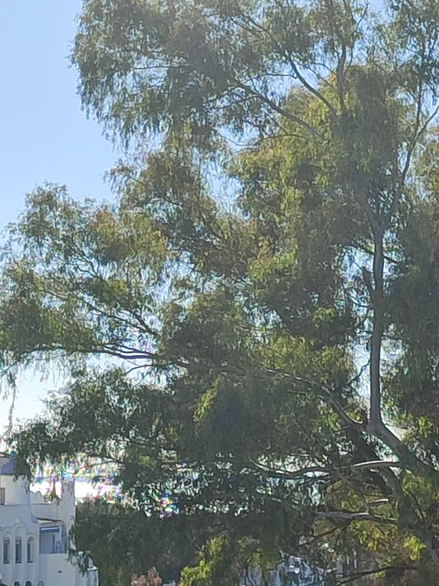 2 soveværelse Lejlighed til salg i Mijas med swimmingpool - € 395.000 (Ref: 9688552)