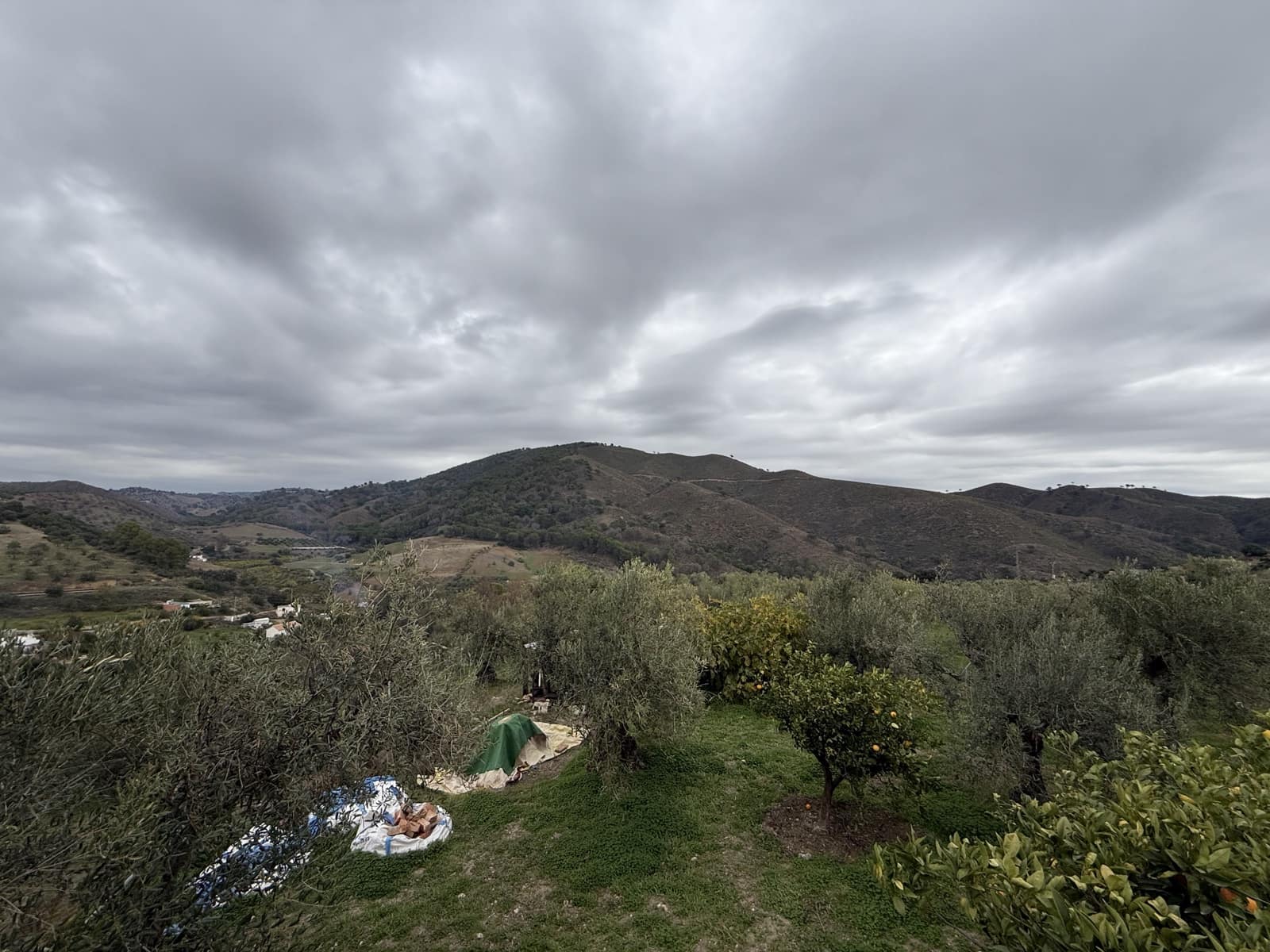 Quinta/Casa Rural para venda em Casarabonela com garagem - 330 000 € (Ref: 9709129)