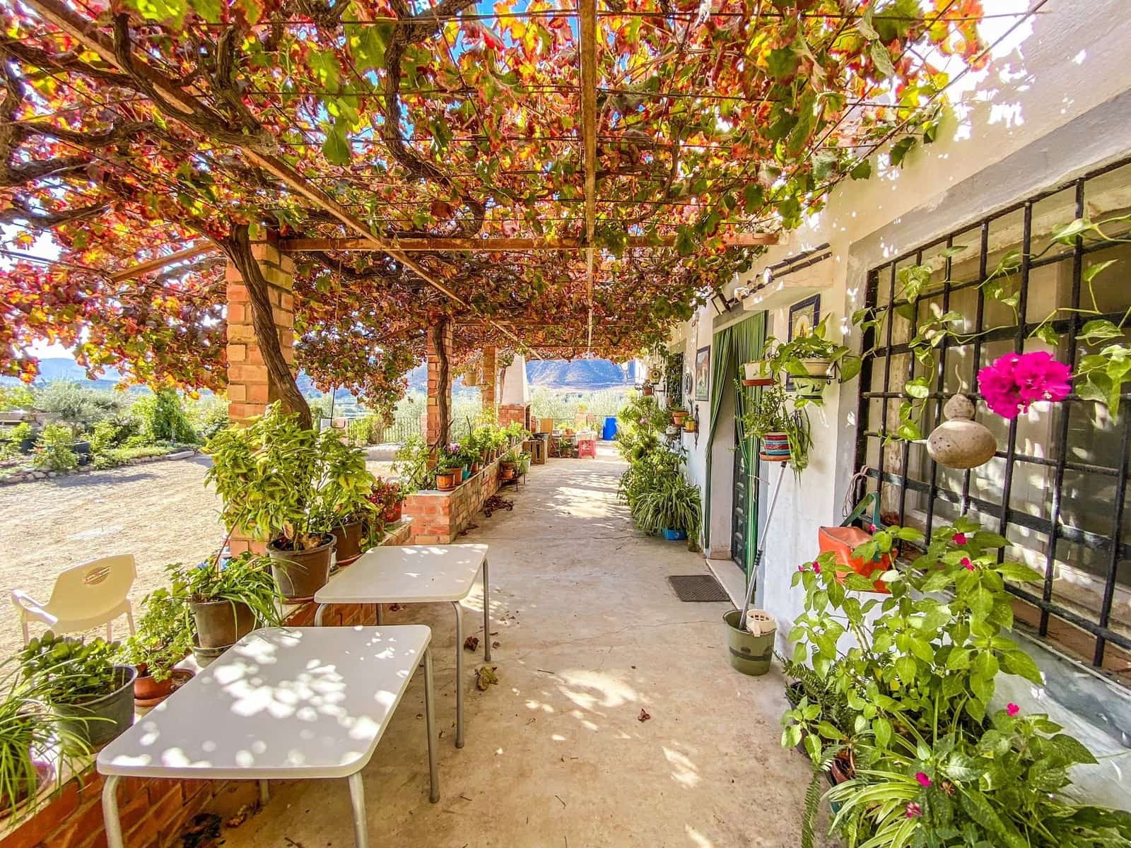 Finca/Casa Rural de 5 habitaciones en Estación de Cártama en venta con piscina - 420.000 € (Ref: 9823475)