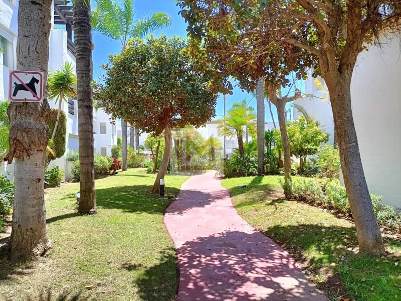 2 slaapkamer Strandappartement te huur in Saladillo-Benamara met zwembad - € 1.700 (Ref: 9629926)