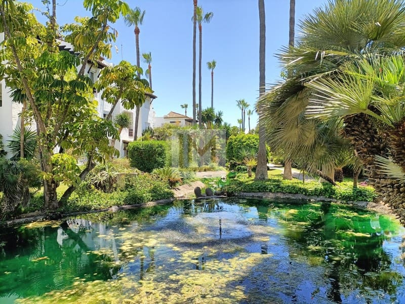 2 slaapkamer Strandappartement te huur in Saladillo-Benamara met zwembad - € 1.700 (Ref: 9629926)