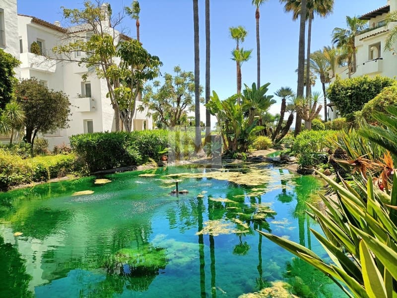 2 slaapkamer Strandappartement te huur in Saladillo-Benamara met zwembad - € 1.700 (Ref: 9629926)