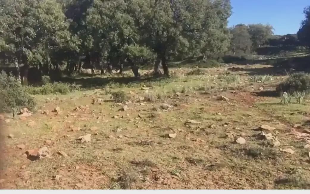 Terre non Aménagée à vendre à Benaojan - 495 000 € (Ref: 9843832)