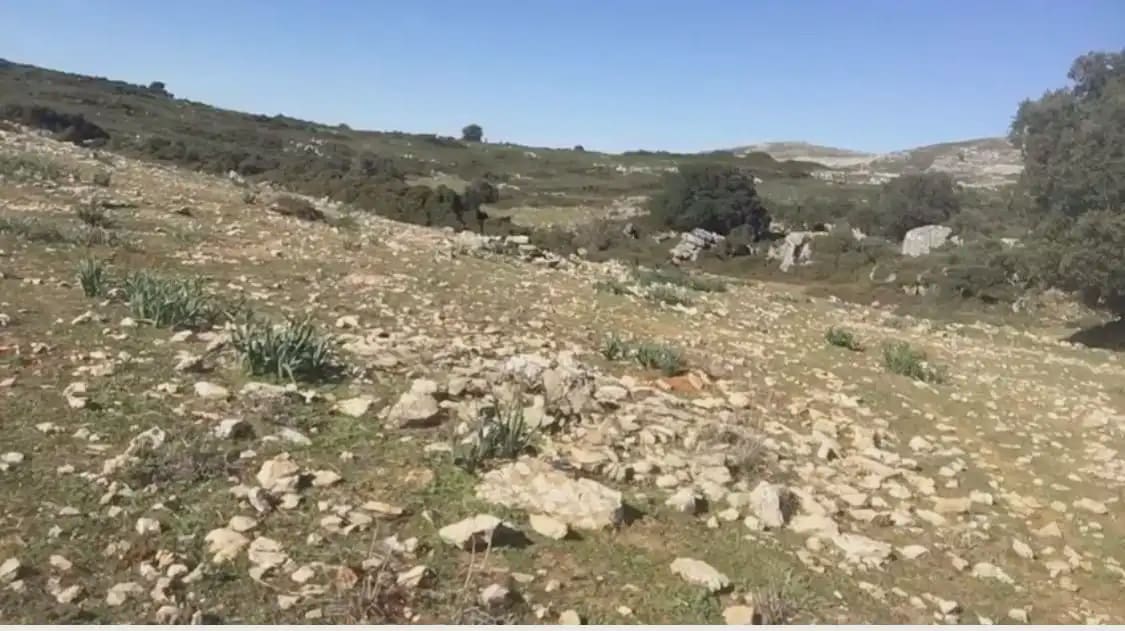 Terre non Aménagée à vendre à Benaojan - 495 000 € (Ref: 9843832)