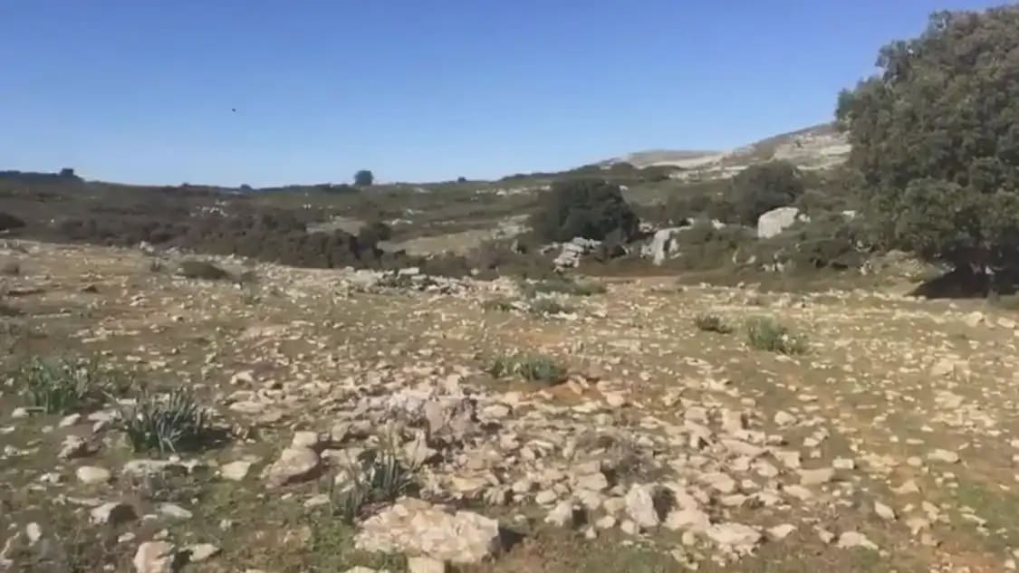 Terre non Aménagée à vendre à Benaojan - 495 000 € (Ref: 9843832)