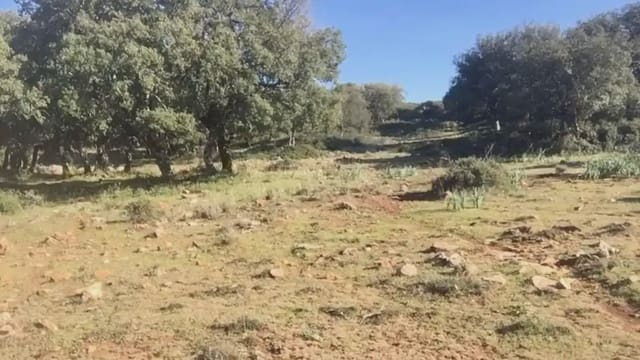 Terre non Aménagée à vendre à Benaoján - 495 000 € (Ref: 9843832)