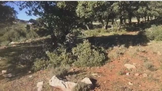 Terre non Aménagée à vendre à Benaoján - 495 000 € (Ref: 9843832)