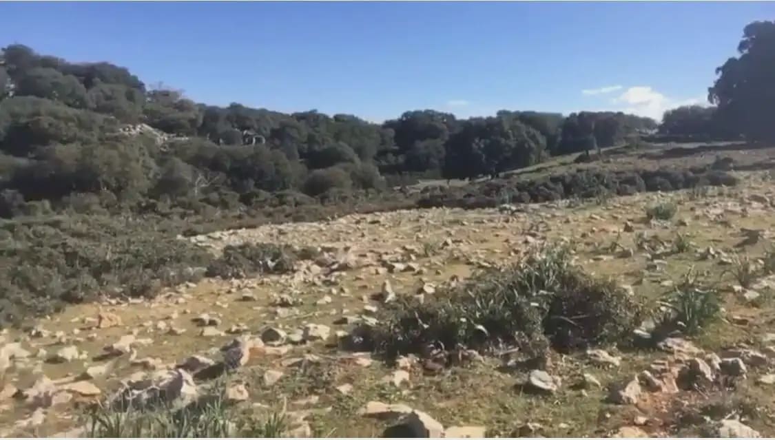 Terre non Aménagée à vendre à Benaojan - 495 000 € (Ref: 9843832)