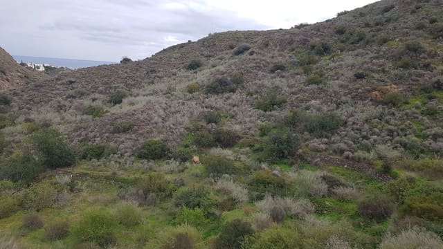 7 soveværelse Finca/Landehus til salg i Mojácar med garage - € 349.950 (Ref: 7658073)