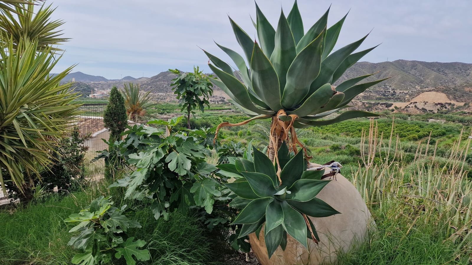 4 chambre Villa/Maison à vendre à Zurgena avec garage - 340 000 € (Ref: 7822961)