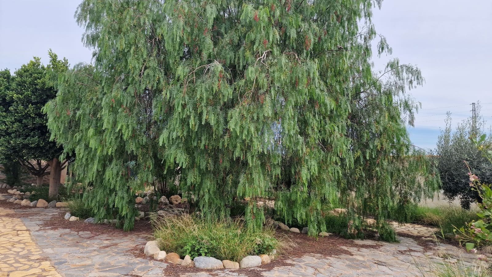 4 chambre Villa/Maison à vendre à Zurgena avec garage - 340 000 € (Ref: 7822961)