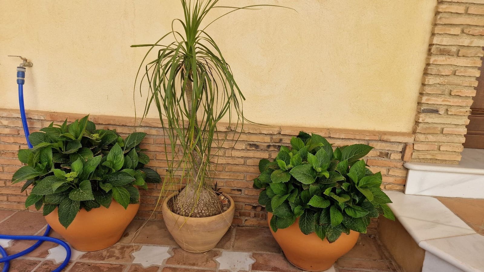 5 camera da letto Villa in vendita in Turre con garage - 395.000 € (Rif: 8312927)