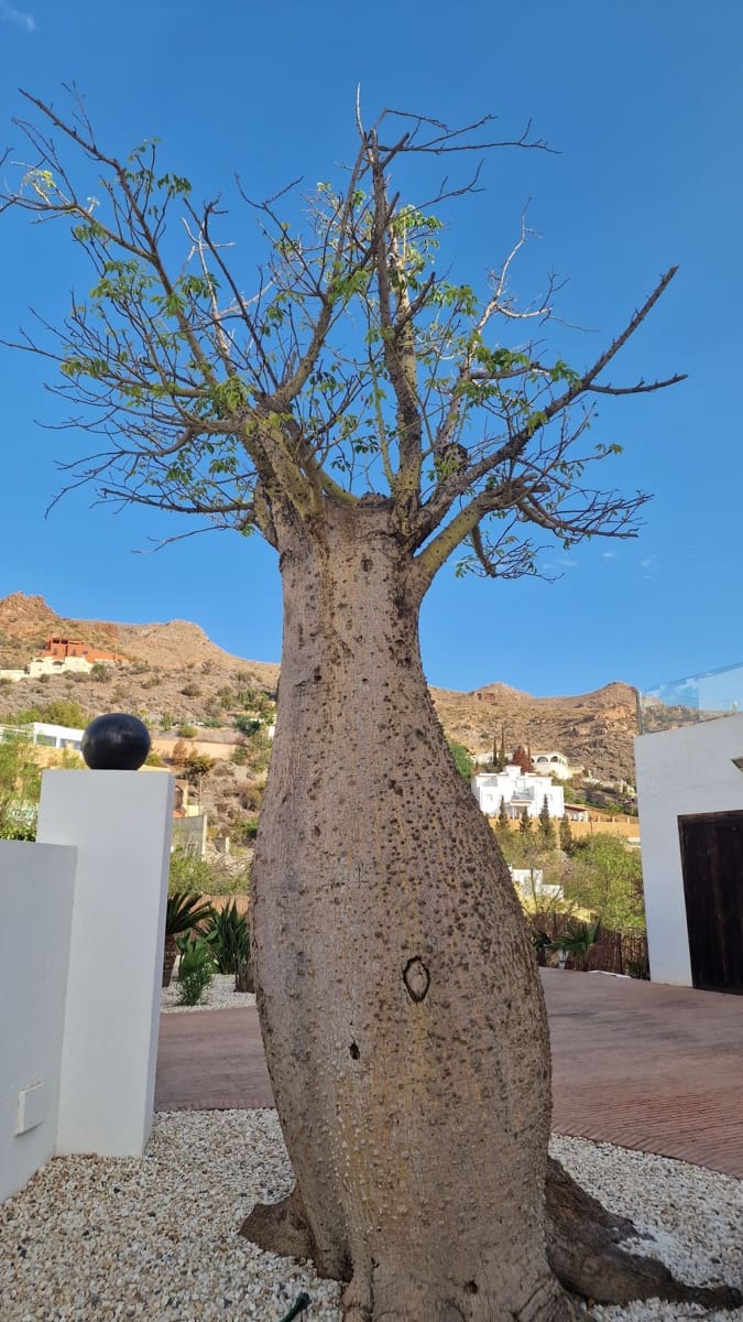 6 chambre Villa/Maison à vendre à Mojacar avec piscine garage - 1 300 000 € (Ref: 8488692)