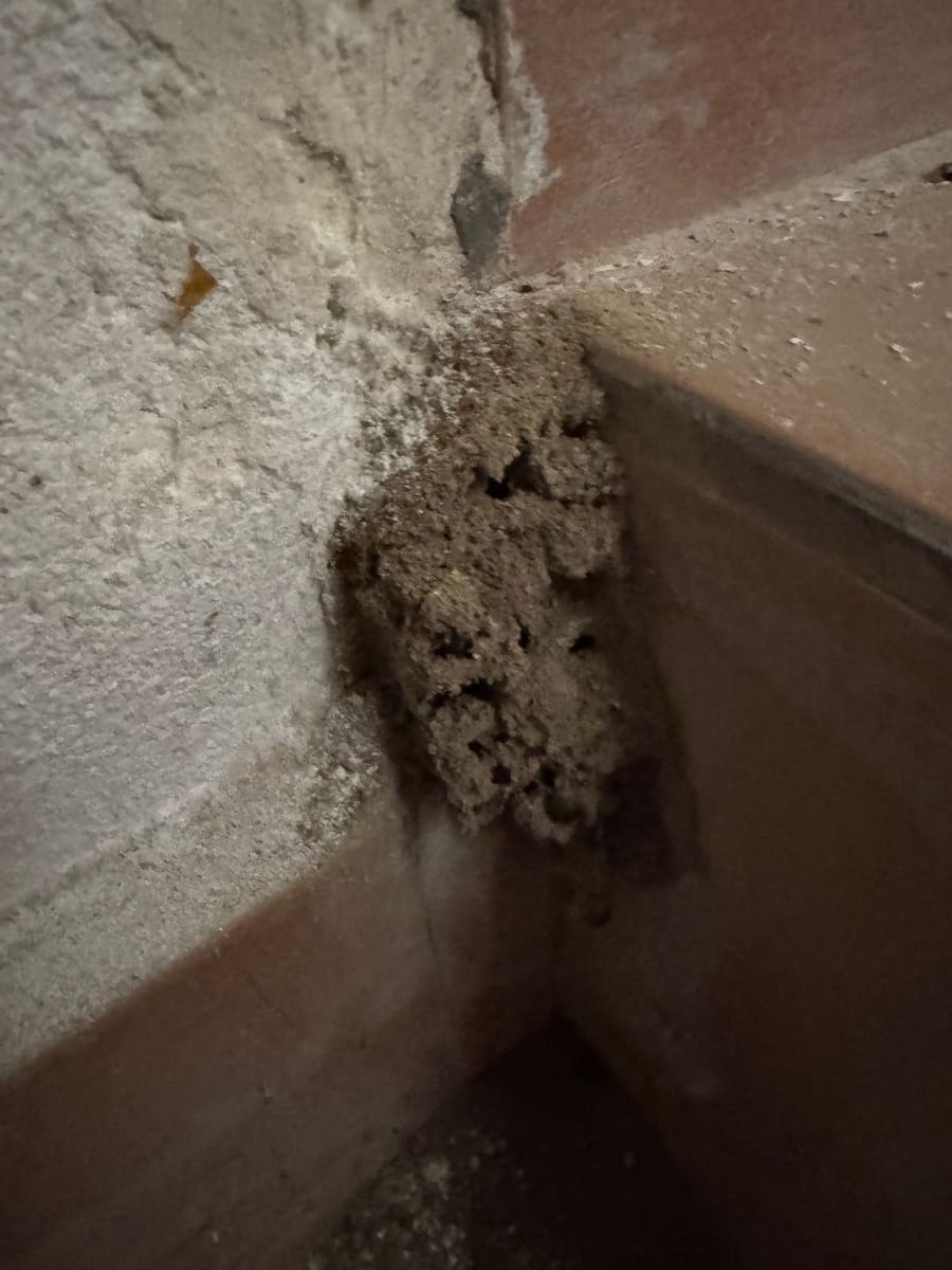 2 makuuhuone Omakotitalo myytävänä paikassa La Huelga - 69 999 € (Ref: 9418811)