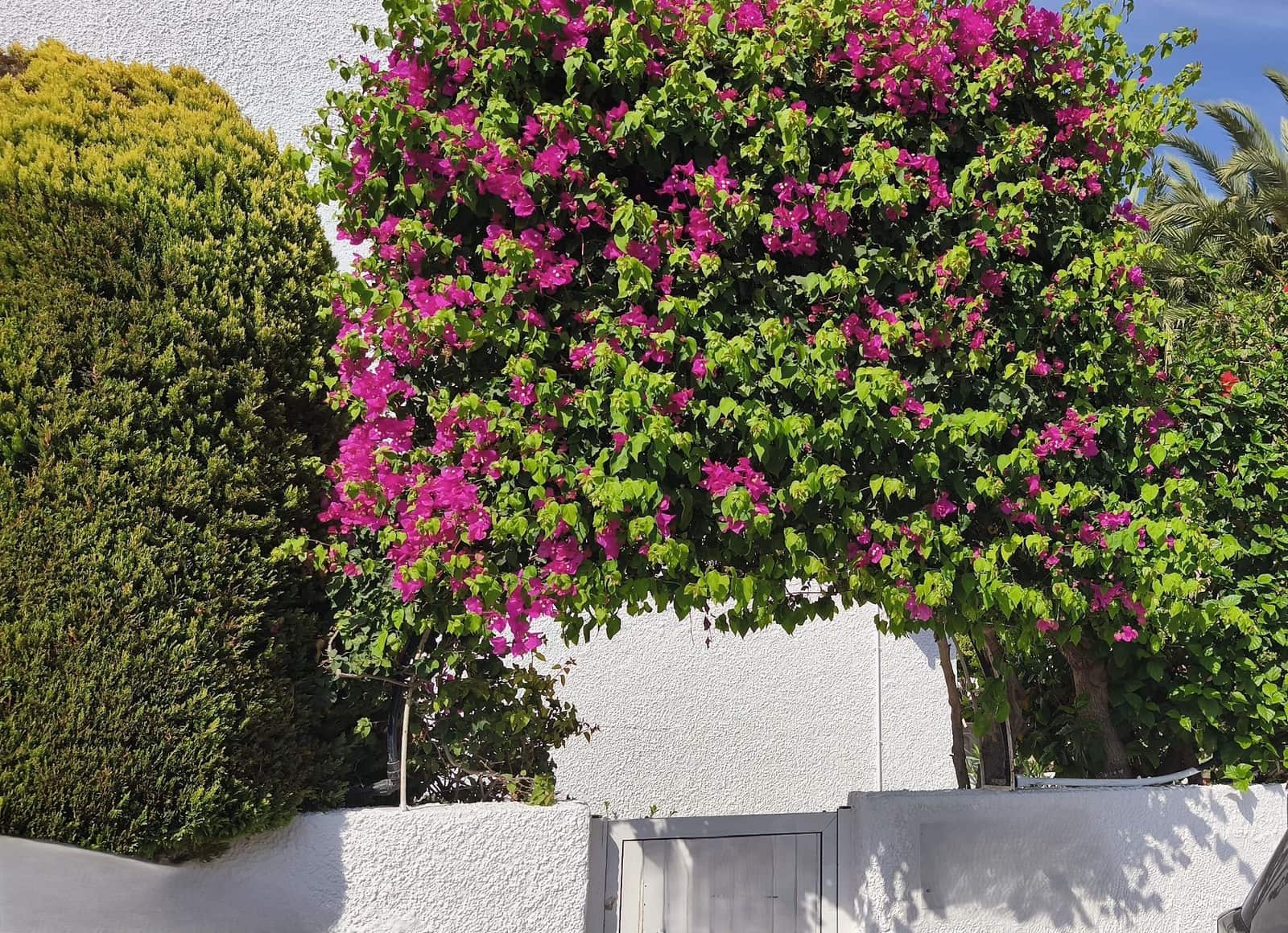 2 soverom Hus til salgs i Mojacar med svømmebasseng garasje - € 225 000 (Ref: 9610762)