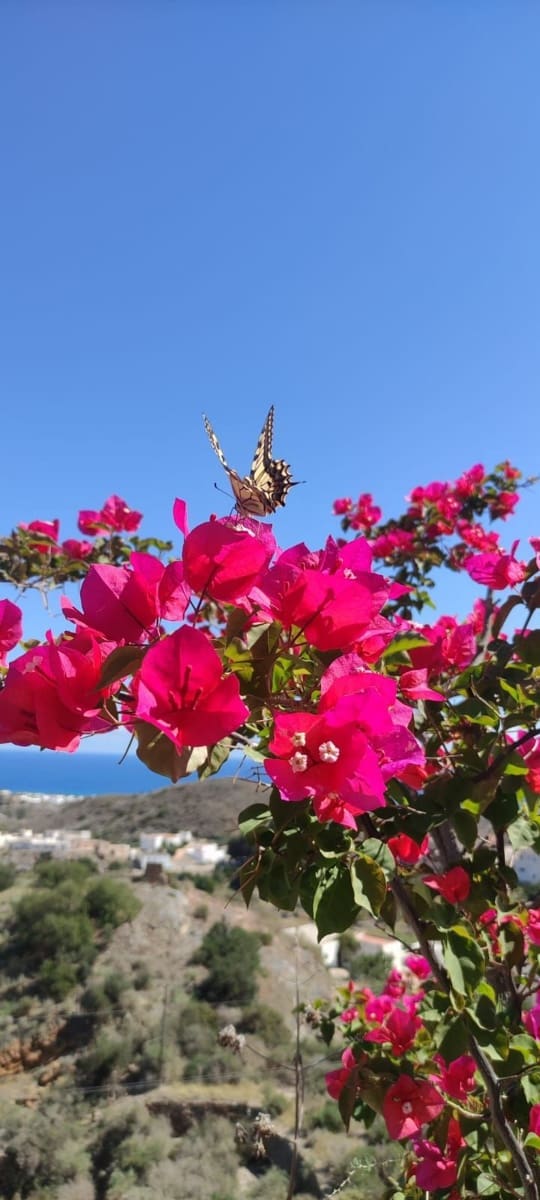 2 makuuhuone Huoneisto myytävänä paikassa Mojacar - 210 000 € (Ref: 9780072)