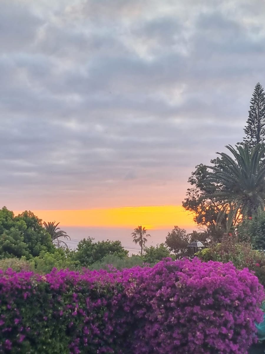 2 camera da letto Villa in vendita in El Sauzal con piscina garage - 460.000 € (Rif: 9763260)