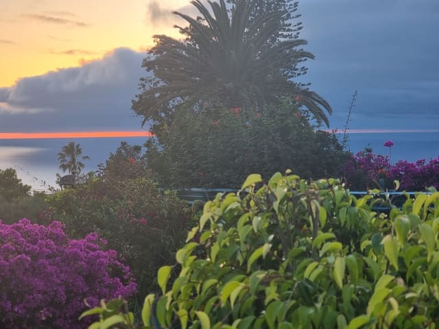 2 camera da letto Villa in vendita in El Sauzal con piscina garage - 460.000 € (Rif: 9763260)