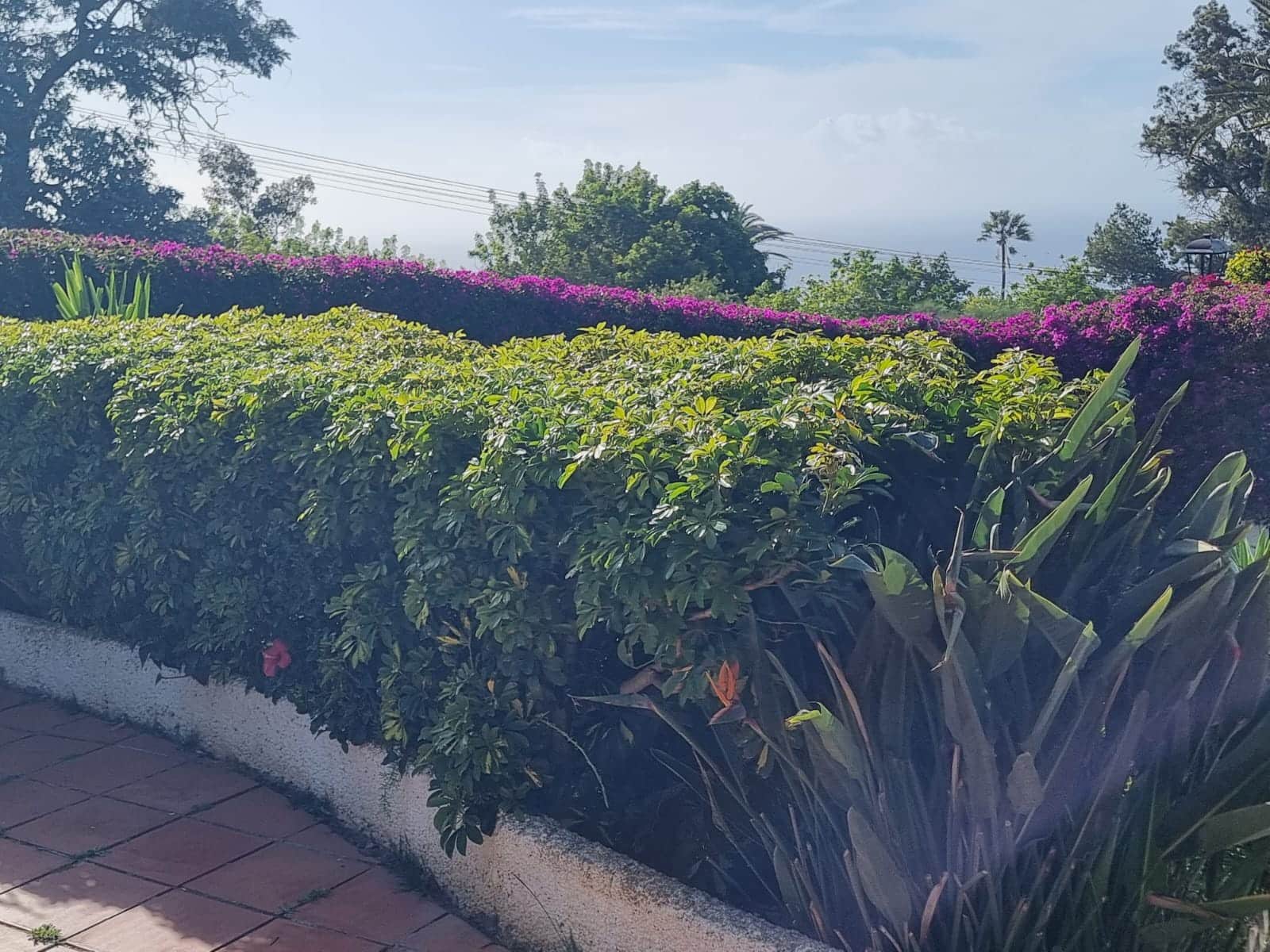 2 camera da letto Villa in vendita in El Sauzal con piscina garage - 460.000 € (Rif: 9763260)