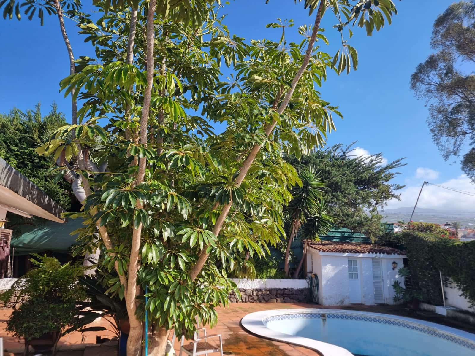 2 camera da letto Villa in vendita in El Sauzal con piscina garage - 460.000 € (Rif: 9763260)