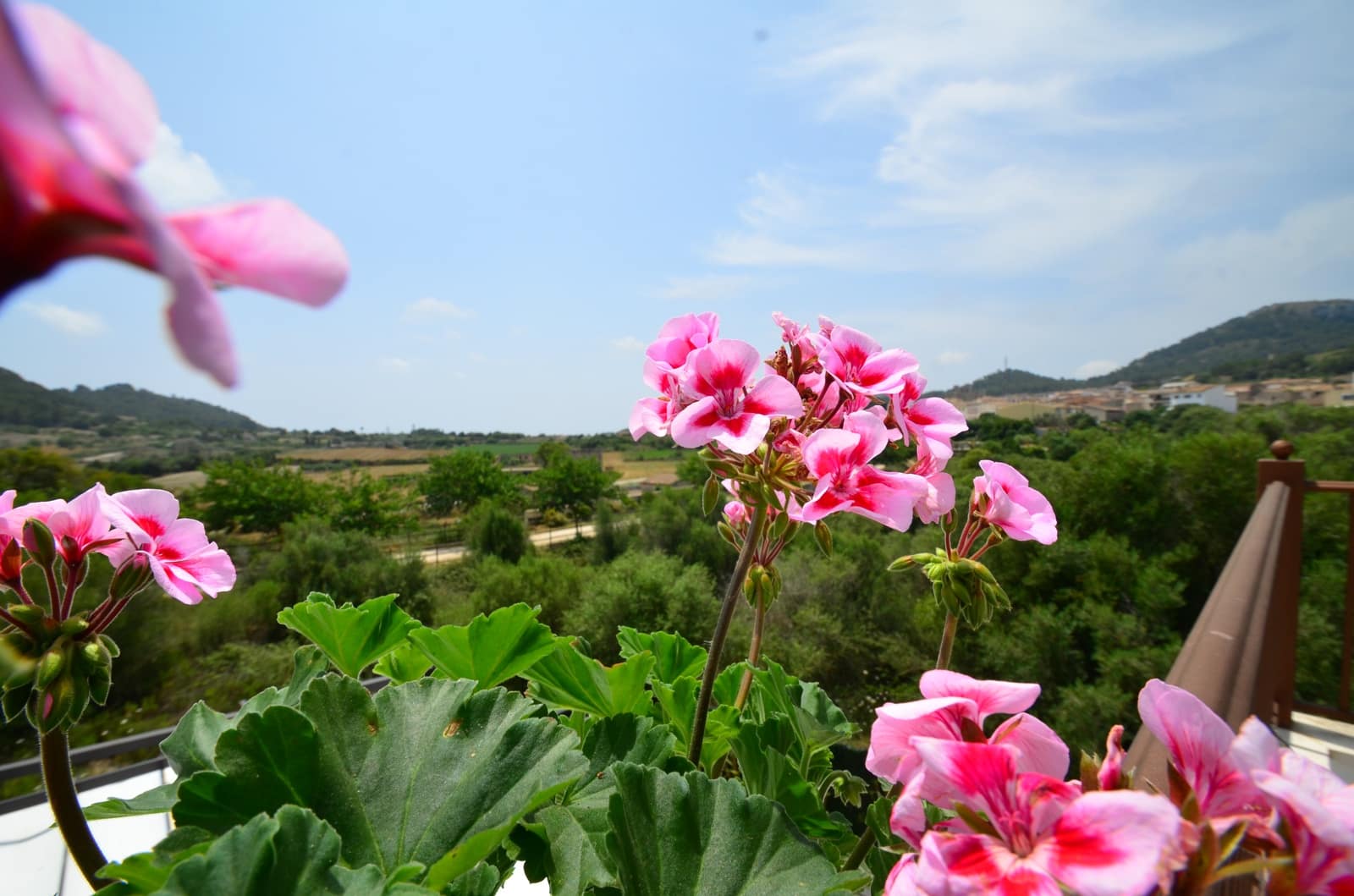 8 makuuhuone Huvila myytävänä paikassa Son Servera mukana 
autotalli - 1 500 000 € (Ref: 9629244)