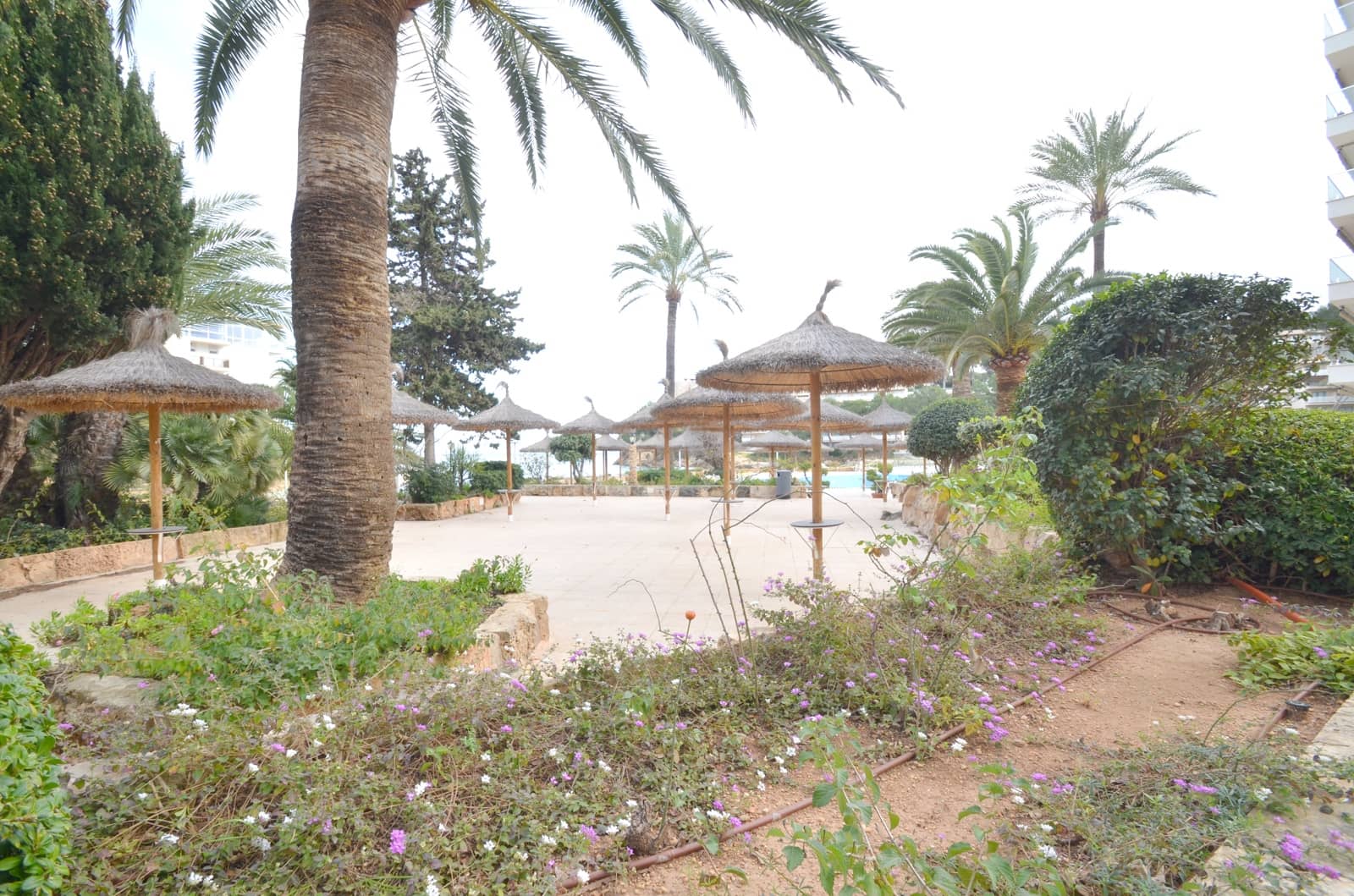 2 bedroom Beach Apartment for rent in Cala Vinyes / Cala Vinyas / Cala Vinas with pool garage - € 2,000 (Ref: 9631388)