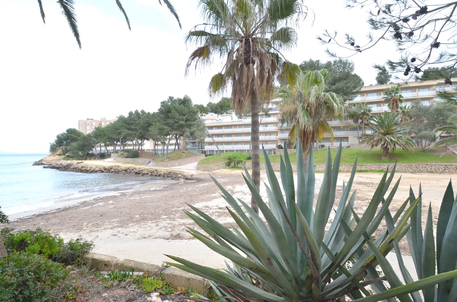 2 bedroom Beach Apartment for rent in Cala Vinyes / Cala Vinyas / Cala Vinas with pool garage - € 2,000 (Ref: 9631388)