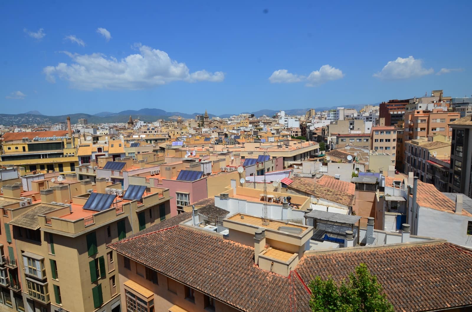 2 bedroom Apartment for rent in Palma de Mallorca - € 2,000 (Ref: 9831939)