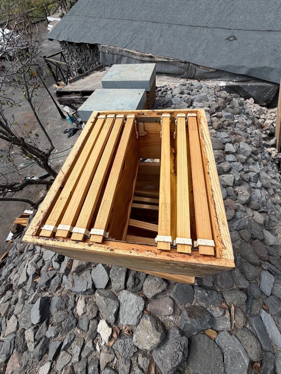 2 bedroom Finca/Country House for rent in Guimar with pool - € 1,800 (Ref: 9671153)