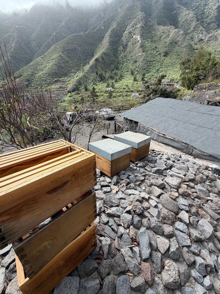 2 bedroom Finca/Country House for rent in Guimar with pool - € 1,800 (Ref: 9671153)