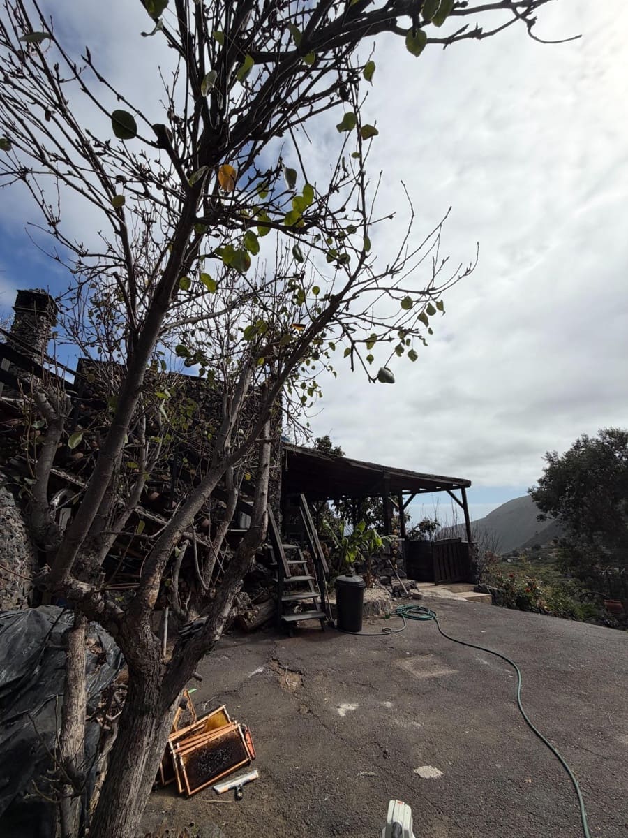 2 bedroom Finca/Country House for rent in Guimar with pool - € 1,800 (Ref: 9671153)