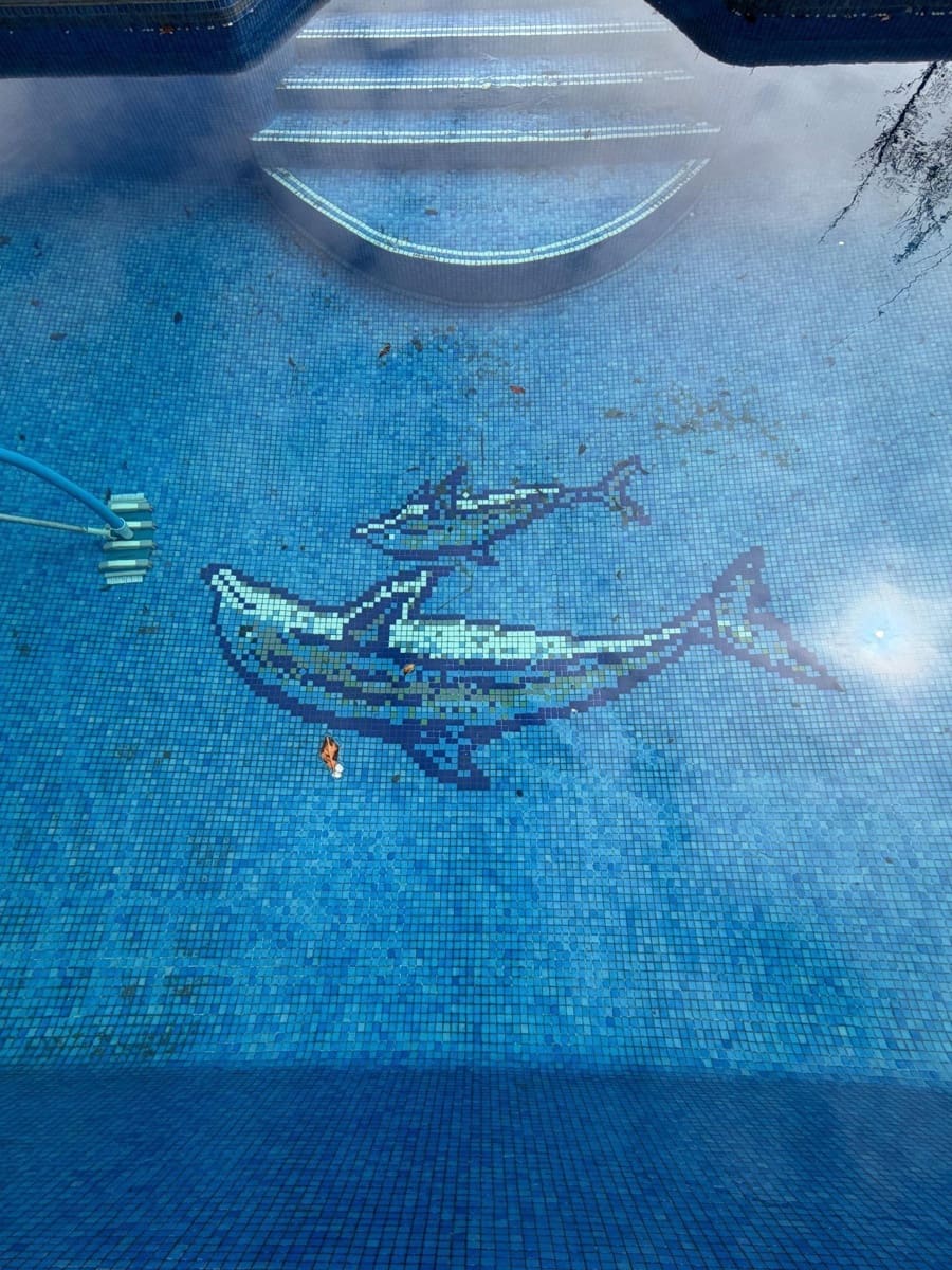 2 bedroom Finca/Country House for rent in Guimar with pool - € 1,800 (Ref: 9671153)