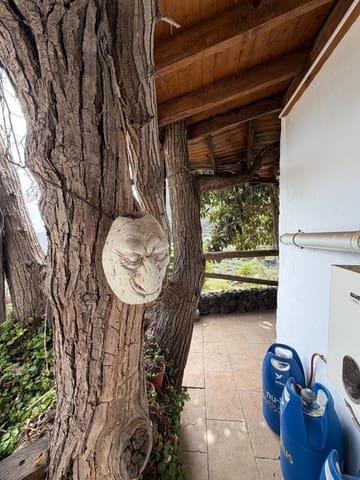 2 makuuhuone Maalaistalo vuokrattavana paikassa Güímar mukana uima-altaan - 1 500 € (Ref: 9671153)