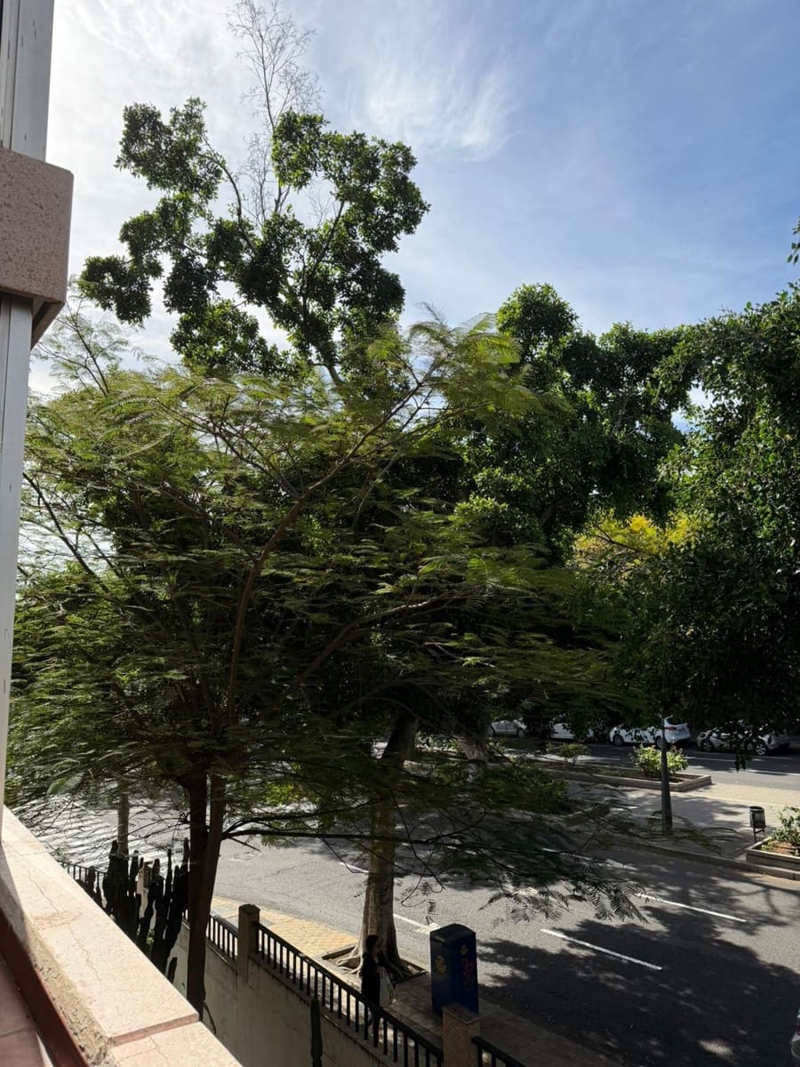 3 Zimmer Apartment zu verkaufen in Santa Cruz de Tenerife mit Garage - 476.000 € (Ref: 9677488)