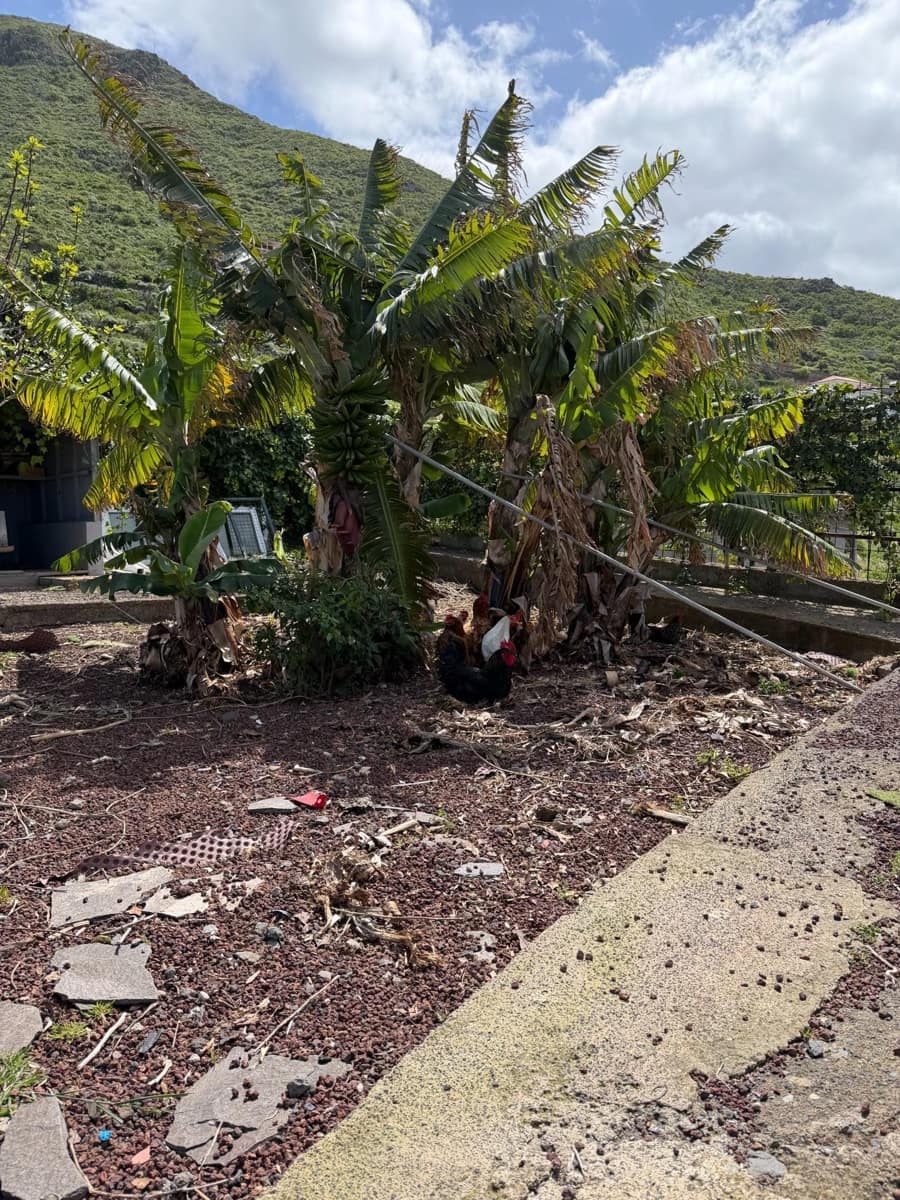 4 soveværelse Villa til salg i San Cristobal de La Laguna med swimmingpool garage - € 990.000 (Ref: 9679866)