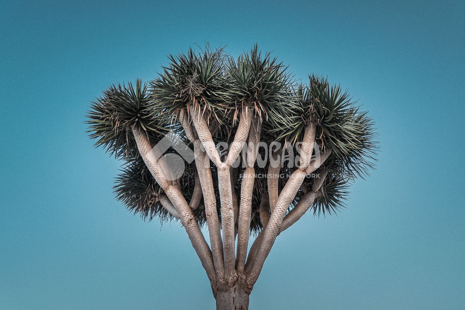 7 sypialnia Dom na sprzedaż w La Orotava z garażem - 1 550 000 € (Ref: 9628356)