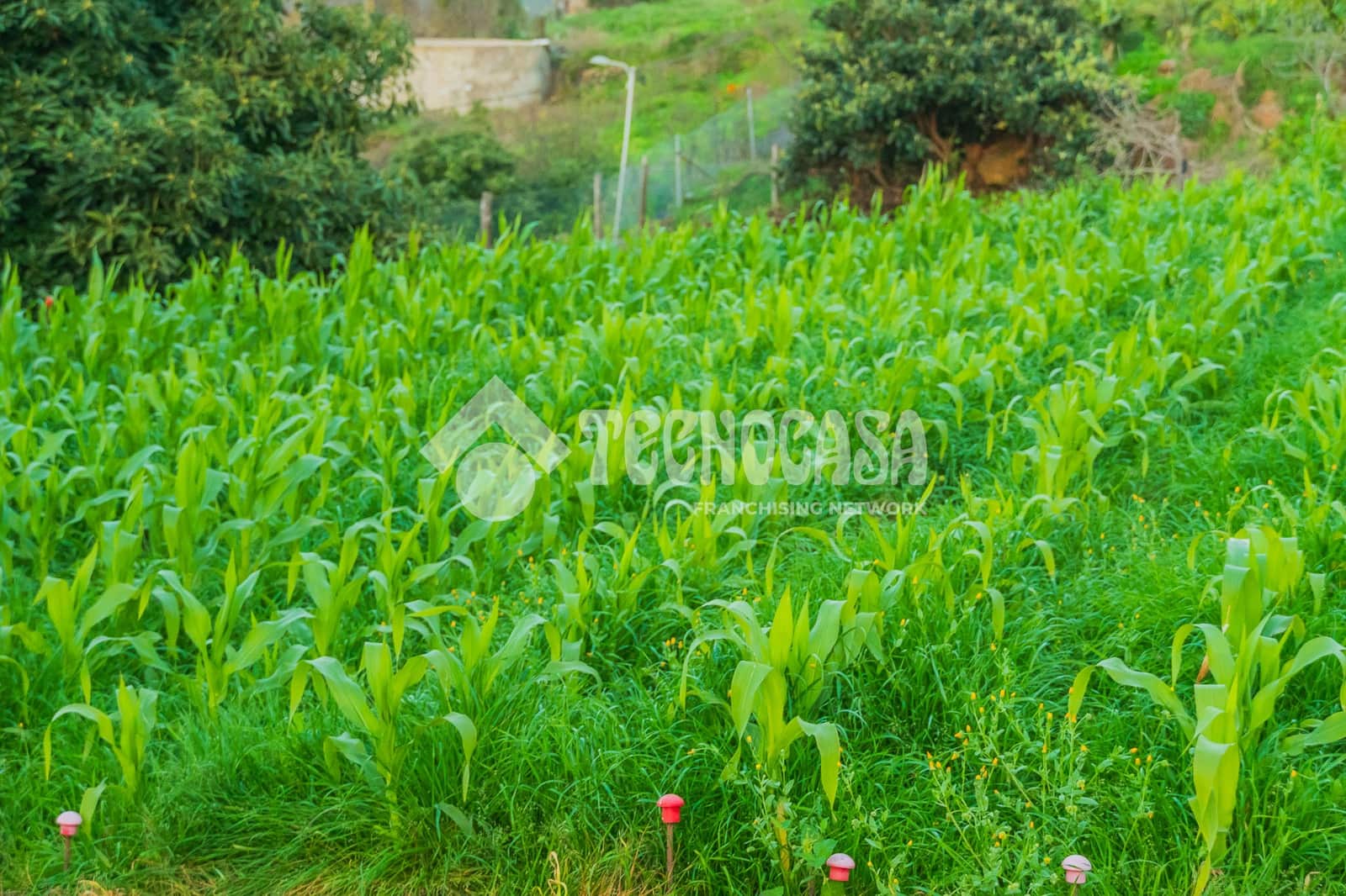 7 sypialnia Dom na sprzedaż w La Orotava z garażem - 1 550 000 € (Ref: 9628356)