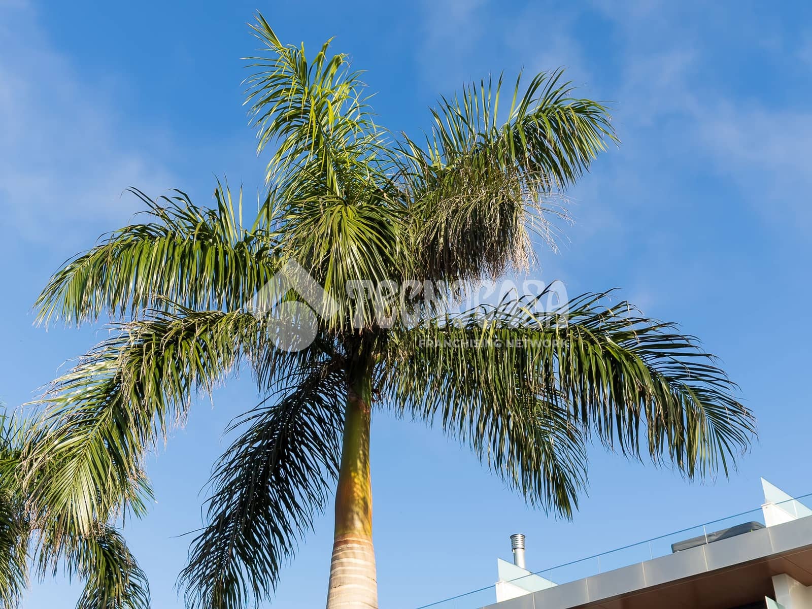 2 camera da letto Appartamento in vendita in Santa Ursula con garage - 239.990 € (Rif: 9629219)