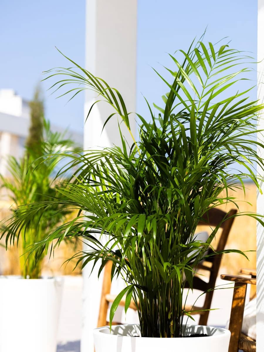 4 sovrum Villa till salu i Estepona med pool garage - 1 395 000 € (Ref: 9666980)