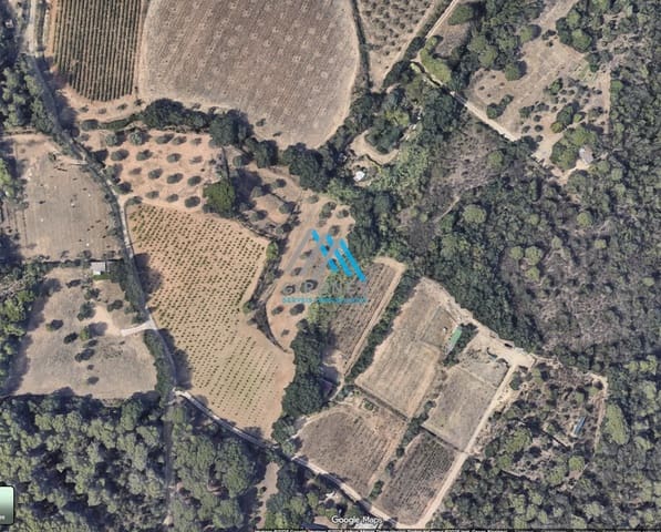 Teren niezagospodarowany na sprzedaż w Palamós - 115 000 € (Ref: 9890761)