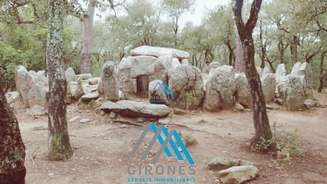 5 slaapkamer Commercieel te koop in Santa Cristina d'Aro met garage - € 915.000 (Ref: 9950784)